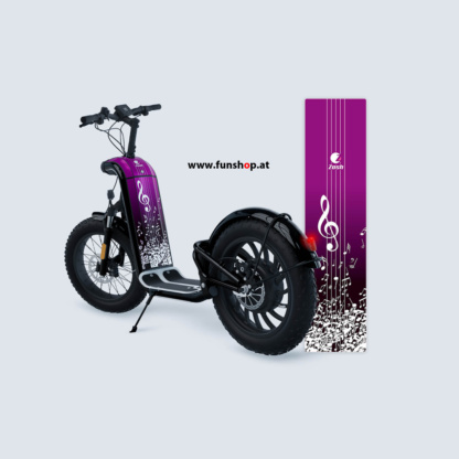 zosh-mountain-electric-scooter-on-road-off-road-funshop-vienna